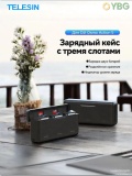Зарядное устройство для DJI Action 5, TELESIN S0-BCG-34-TDJ 