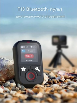 Пульт ДУ T13 - S5-RMT-01-TGP