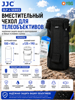DLP-4-инфографика главное