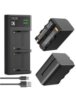 Зарядное устройство и два АКБ - KF28.0047