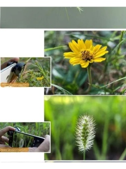 Объектив Macro Lens - 1678 (4)