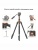 Штатив трипод для фото видео камеры  - KF09.136 (2)