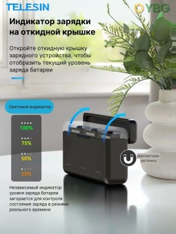 Зарядное устройство Telesin S0-BCG-02-TDJ (2)