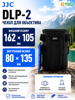DLP-2-инфографика главное