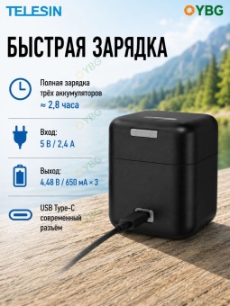 Зарядустройство TELESIN S0-BCG-10-TGP (2)