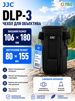 DLP-3инфографика главное