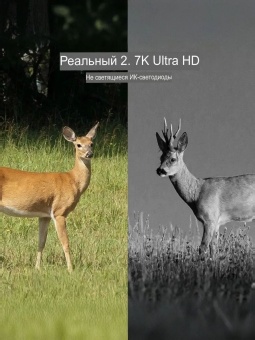 Фотоловушка, охотничья камера - KF35.138EU (6)